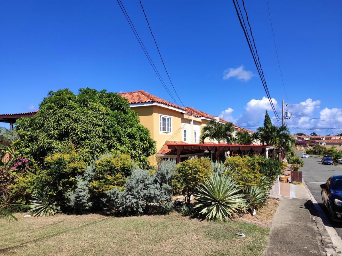 Montego Bay Garden Studio 外观 照片